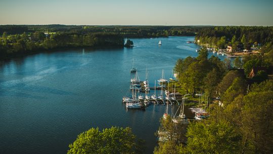 TOP 5 atrakcji Borów Tucholskich. Odkryj „zielone płuca” Pomorza na wakacjach