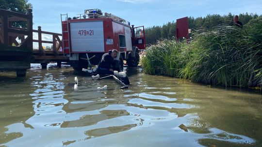 Tragiczna kłótnia pary nad wodą niedaleko Lęborka. Oboje nie żyją. Kobieta była w ciąży