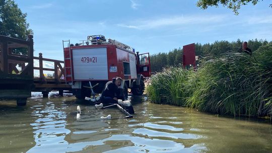 Tragiczna kłótnia pary nad wodą niedaleko Lęborka. Oboje nie żyją, kobieta była w ciąży
