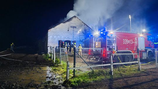 W pożarze stajni w Trąbkach Małych zginęły trzy konie