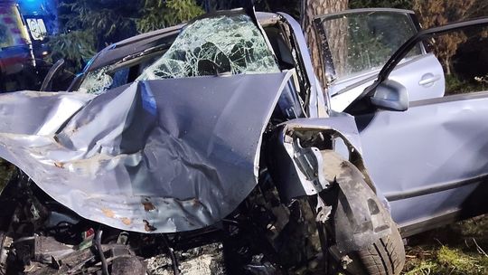 Kierowca auta na łuku drogi nie dostosował prędkości, stracił panowanie nad pojazdem i uderzył w drzewo