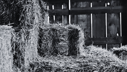 Tragiczny wypadek w Osławie Dąbrowej. Rolnik przygnieciony przez balot siana