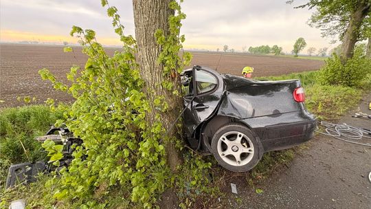 Tragiczny wypadek w powiecie malborskim. Nie żyje 19-latka Tragiczny wypadek w powiecie malborskim. Nie żyje 19-latka
