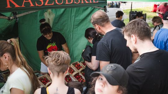 Truskawkobranie. Święto kaszubskiej truskawki pełne słońca i niesamowitych smaków