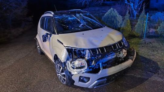 Zagony: Kompletnie pijana kobieta staranowała płot i dachowała