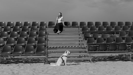 „Mój Gdańsk”, wystawa