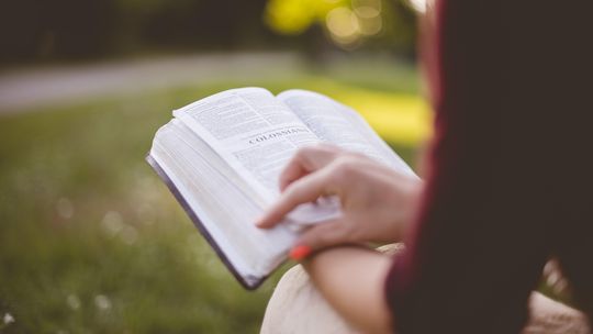 studentka, studia, zdjęcie ilustracyjne