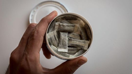 snusy, zdjęcie ilustracyjne