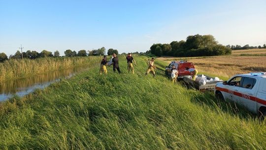 działania strażaków na kanale Śledziowym