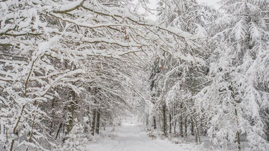 Uwaga! Na Pomorzu silne opady śniegu i porywisty wiatr. Głównie w powiatach bytowskim, lęborskim, puckim i słupskim
