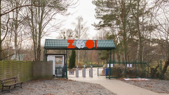 Uwaga na silny wiatr! W Gdańsku zamknięte cmentarze, zoo i Park Oliwski 