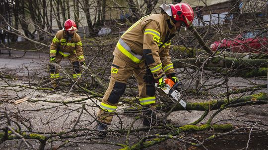 strażacy usuwają połamane drzewo