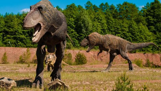 dinozaury