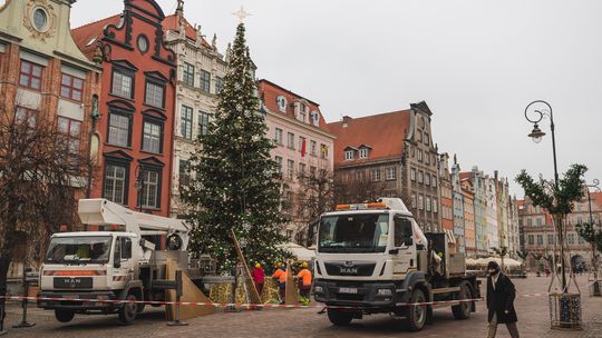 W Trójmieście rusza montaż świątecznych ozdób