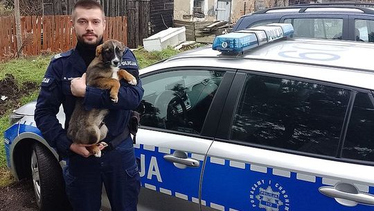 policjant z Nowego Stawu, któy adoptował porzuconego psa