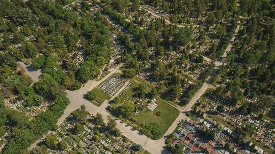 Wszystkich Świętych 2025 w Gdańsku. Zmiany w organizacji ruchu przy cmentarzach