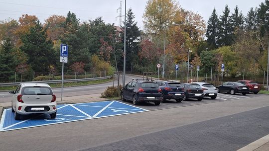 Sopot: Zmiany w organizacji ruchu na uroczystość Wszystkich Świętych i zasady sprzątania cmentarzy