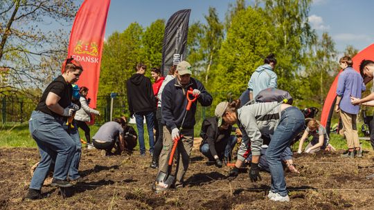 Gdańsk: „Wyczesany Las” na Zaspie. Trzecia oddolna akcja sadzenia drzew