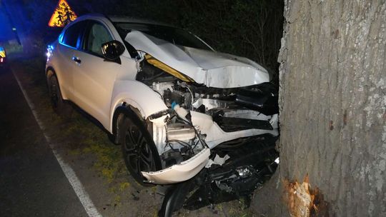 Wypadek pod Kościerzyną. Auto uderzyło w drzewo, dwie osoby w szpitalu