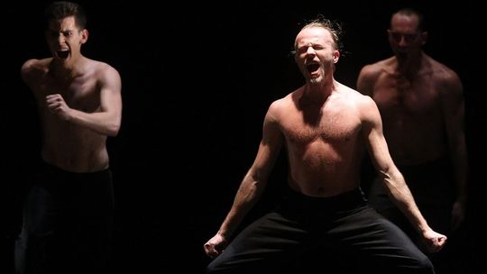 „Body master/Sarabande/Falling Angels”