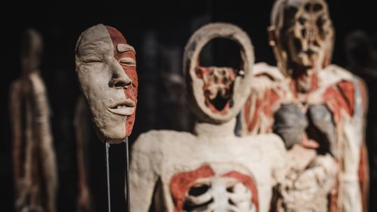 Wystawa Body Worlds znowu w Gdańsku. Ekspozycję można zwiedzać w Amber Expo