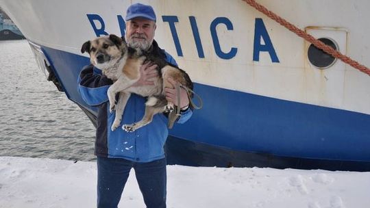 Z lodowej kry uratował psa. Teraz zwierzę w Gdyni będzie miało swoją rzeźbę
