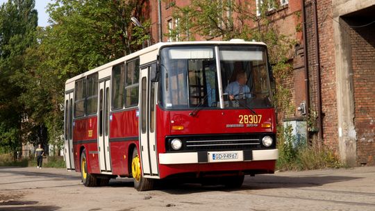 Ikarus 260