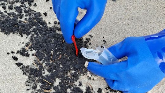 Zakończono usuwanie podejrzanej substancji z plaż. Sprawcy zanieczyszczenia nie wykryto
