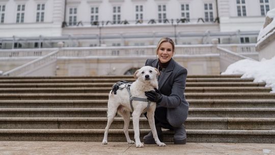 Zamiast do schroniska, trafił na salony! Bezdomny pies ze Sztumu w Pałacu Prezydenckim Bezdomny pies z Pomorza trafił do Pałacu Prezydenckiego. Yuki podbił serce rodziny prezydenta