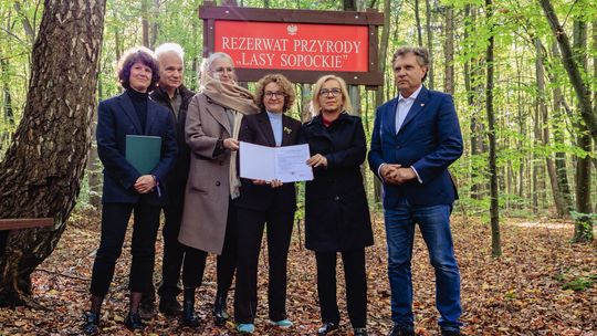 Powstał rezerwat "Sopockie Lasy". Ponad 140 hektarów lasów pod ochroną