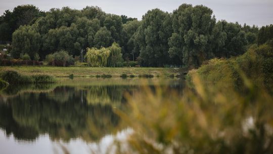 Zielona enklawa na południu Gdańska. Umowa na projekt Parku Południowego podpisana