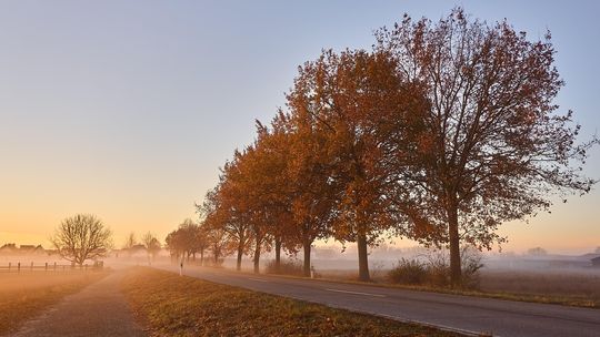 jesień, zdjęcie ilustracyjne