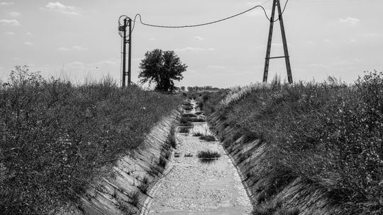 Zmiany klimatyczne wpływają na suszę, ale wody pozbawiają nas też decyzje władz, które są przed nami ukrywane