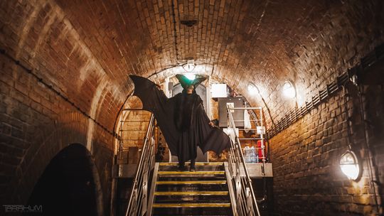 Święto Nietoperzy w Zbiorniku Wody Stara Orunia