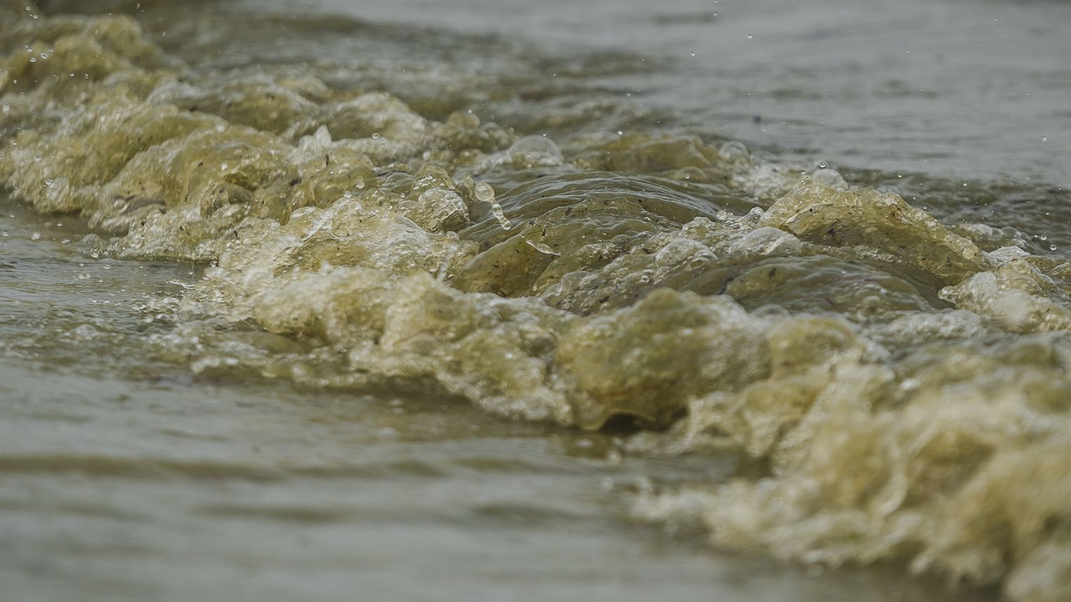 Alerty RCB będą ostrzegały przed sinicami? Jest wniosek