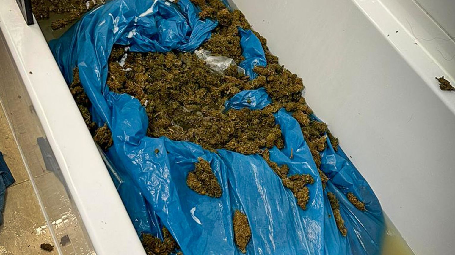 Gdańsk: Marihuana w pralce i w wannie. 7 zatrzymanych z 21 kg narkotyków