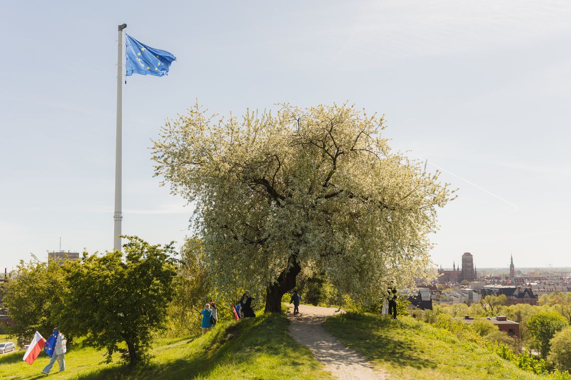 Dzień Europy, Gdańsk 2026