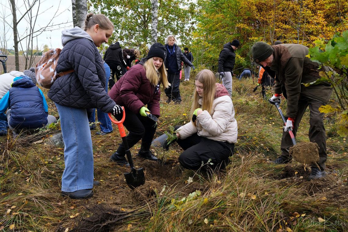 sadzenie lasu z okazji 750-lecia pierwszej wzmianki o Chojnicach