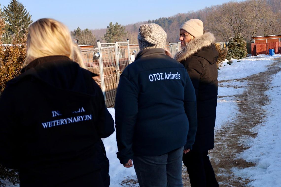 kontrola w Schronisku dla Bezdomnych Zwierząt w Dąbrówce koło Wejherowa