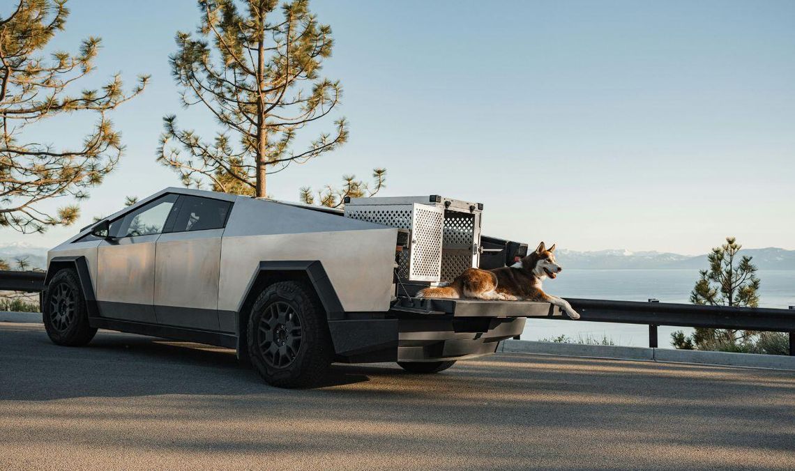 Auta-memy na polskich drogach. Coraz częściej zyskują status kultowych Tesla Cybertruck