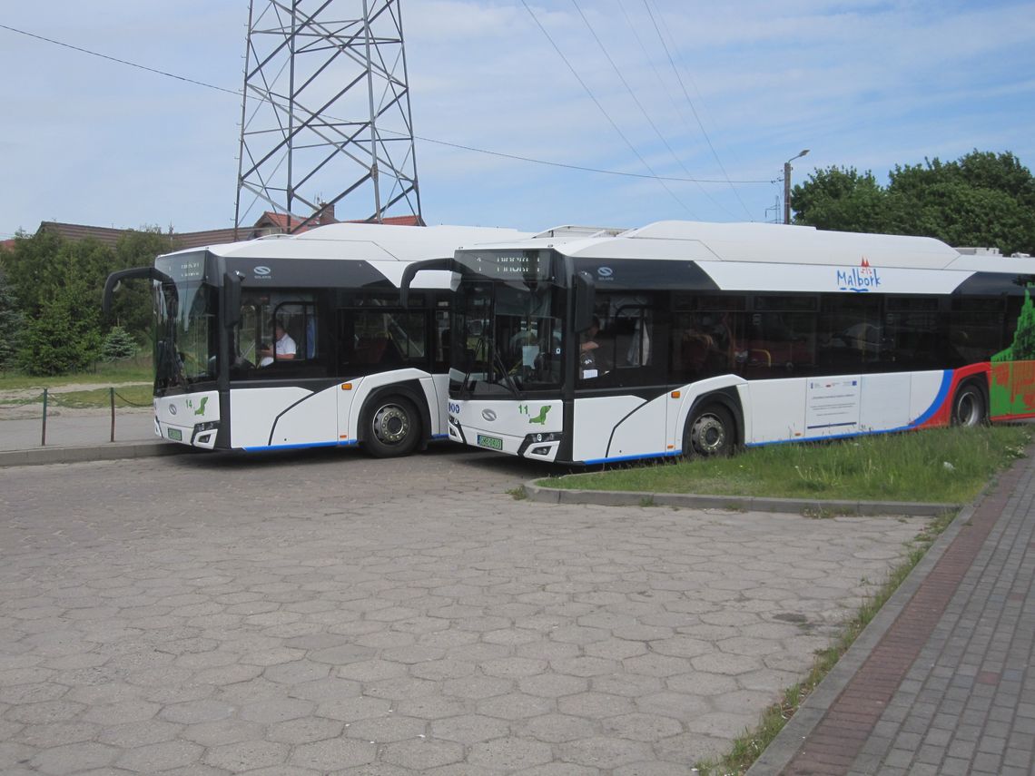 Bezpłatna komunikacja miejska pozostanie, choć dopłacać do niej trzeba sporo