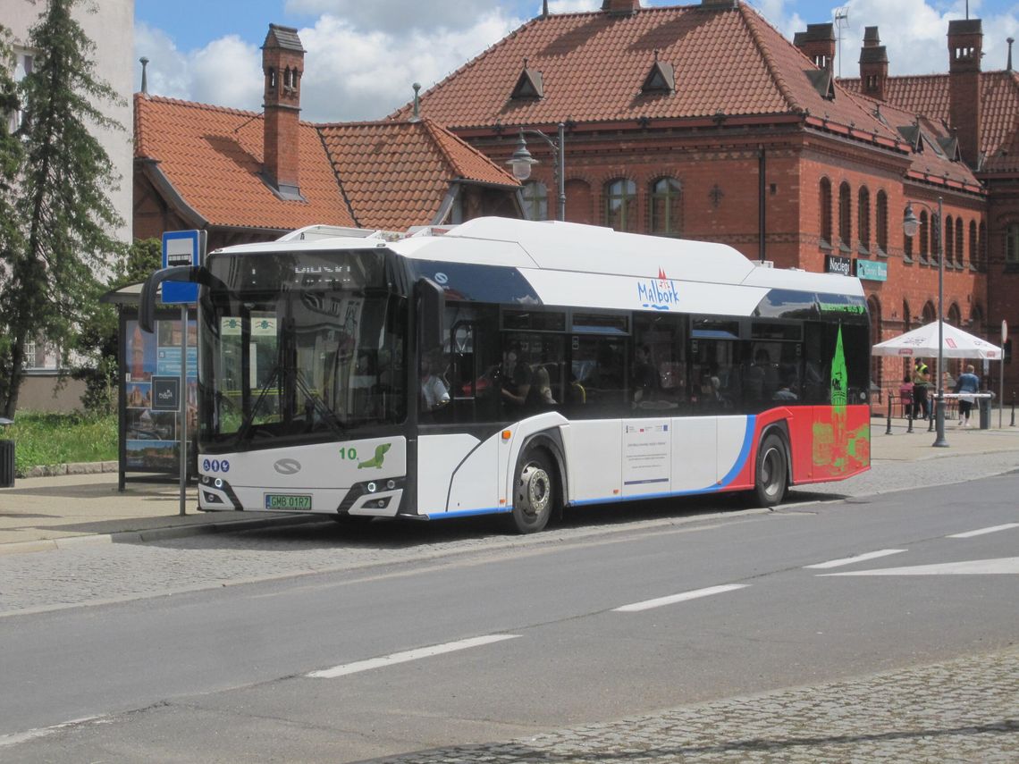 Bezpłatna komunikacja miejska w Malborku kosztuje coraz drożej