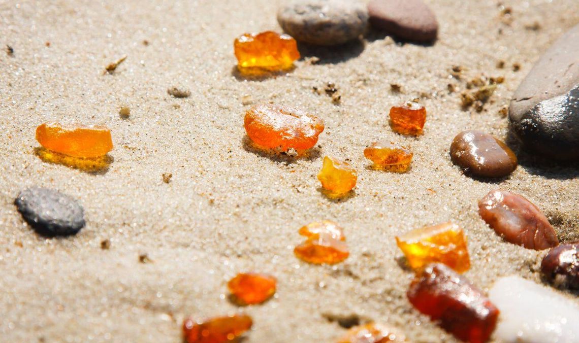 Bursztynowa gorączka na Mierzei Wiślanej! Ceny rosną, turyści ruszyli na plaże