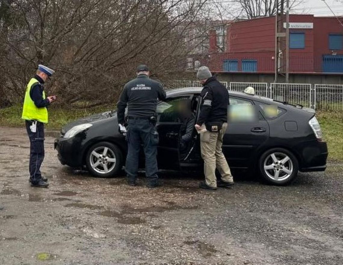 Celnicy skontrowali trójmiejskich przewoźników. Posypały się mandaty