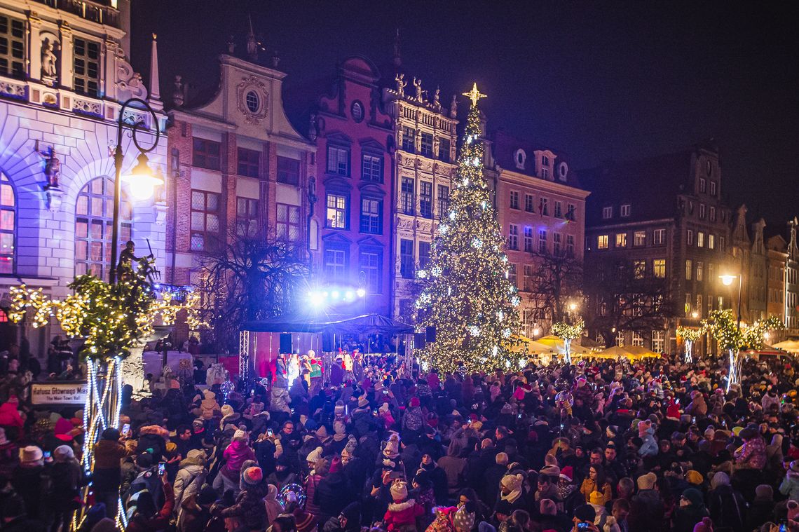 Choinka przy Fontannie Neptuna w Gdańsku wkrótce rozbłyśnie