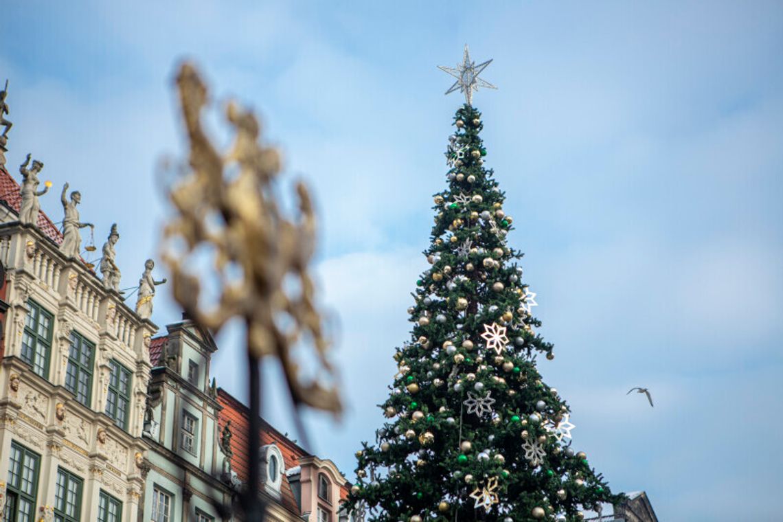 Dwadzieścia tysięcy światełek na gdańskiej choince wkrótce rozbłyśnie