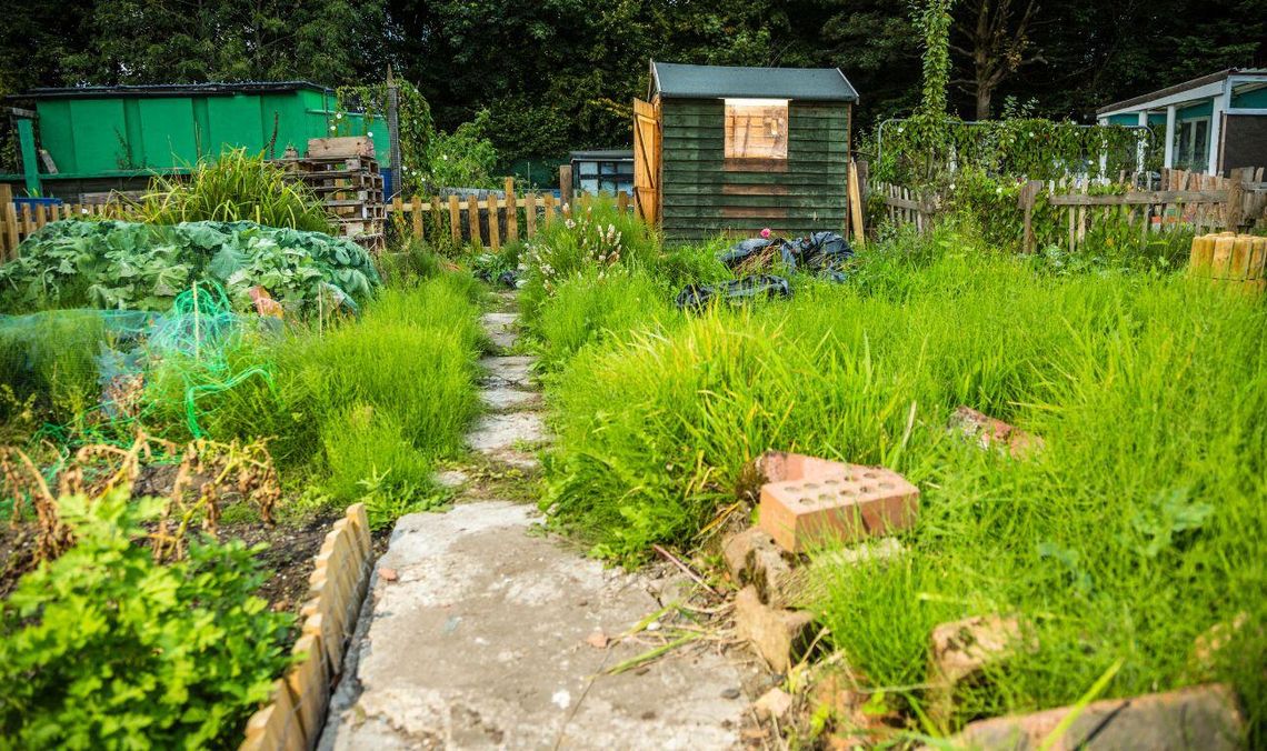 MON chciało przejmować ROD-y. Sejm zablokował kontrowersyjne przepisy