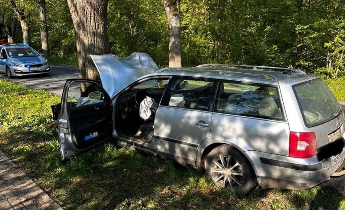 Dzierzgoń: Samochód rozbity na drzewie, kierowca zmarł w szpitalu