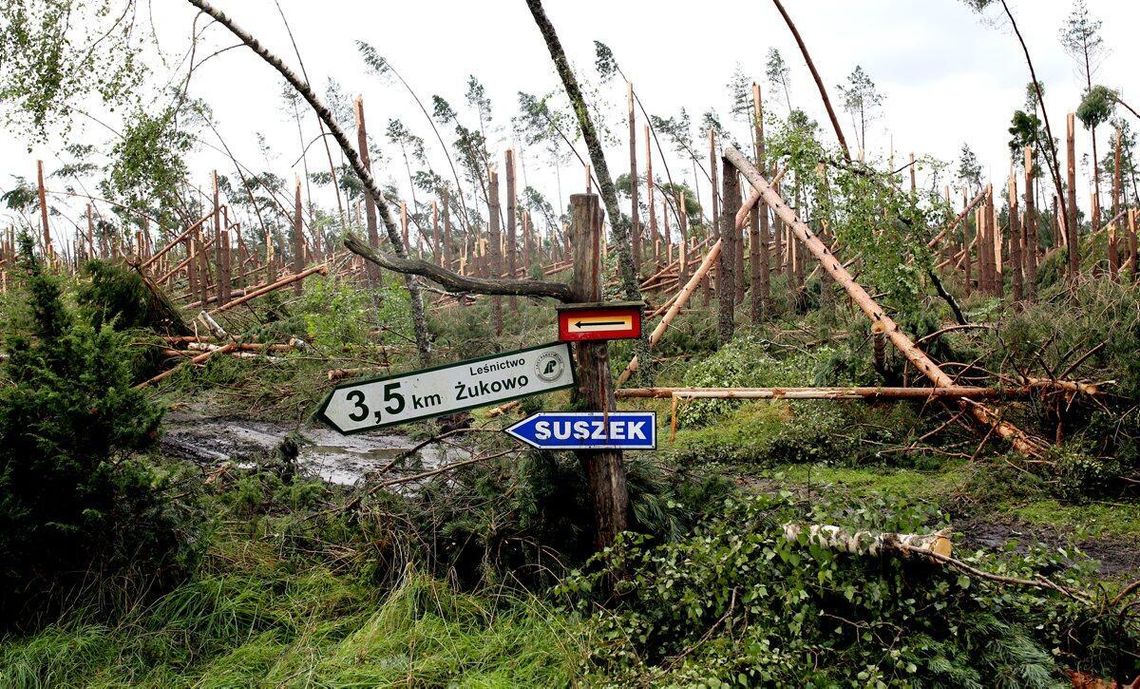 Dziewiąta rocznica tragicznej nawałnicy na Pomorzu. Zginęło pięć osób, w tym harcerki nawałnica 2017