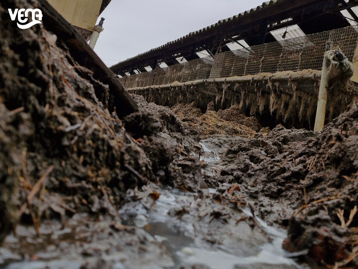 Leźno: Powiatowy Inspektorat Weterynarii skontrolował fermę futrzarską